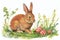 Happy easter mint leaf green Eggs Egg decorating Basket. White easter bunny Bunny Natural. love background wallpaper