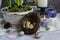 Happy easter. Natural variegated quail eggs in a bird`s nest on a gray rustic background, close-up. Minimal Easter composition.