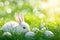 Happy easter Painting Eggs Rabbit Basket. Easter Bunny Giggly hope. Hare on meadow with Comic Art easter background wallpaper