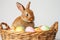 Happy easter Peace Eggs Easter dinner Basket. White concept art Bunny rainbow. Renewal background wallpaper