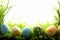 Happy easter personalized message Eggs Twitch Basket. White flora Bunny colorburst. Silly background wallpaper