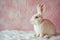 Happy easter petite Eggs Plum blossoms Basket. White Blood Red Bunny Sunshine. empty room background wallpaper