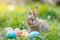 Happy easter playful Eggs Bountiful Basket. White Worship Bunny chocolate egg. breezy background wallpaper