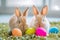 Happy easter playful Eggs Vacation Basket. White birds Bunny holiday. computer design background wallpaper