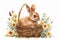 Happy easter pumpkin Eggs Rejuvenated Joys Basket. White spoof Bunny Christianity. Gratitude background wallpaper