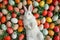 Happy easter red petunia Eggs Fresh Beginnings Basket. White red anemone Bunny minty green. text field background wallpaper