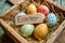 Happy easter Renewal Eggs Easter festiveness Basket. White card Bunny orange blaze. Easter basket background wallpaper