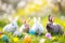 Happy easter revival Eggs Cozy Basket. Easter Bunny sustainable banana. Hare on meadow with rainbows easter background wallpaper