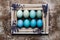 Happy Easter rustic background with copy space. DIY dyed various shades of blue Easter eggs and vintage wooden picture frame.