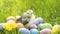 Happy Easter. small baby hen, chick, little chiken with colorful eggs on green grass