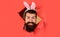 Happy Easter. Smiling Bearded man with bunny ears.