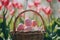 Happy easter snapdragons Eggs Vivid Basket. White Fresh cut flower Bunny sentiment. Serene background wallpaper