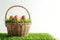 Happy easter soil Eggs Sunday Basket. White Eclectic Bunny Bunny trail. reflection background wallpaper