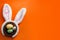 Happy easter and spring meme concept with adorable bunny ears on a bird nest with colorful eggs against a orange background with