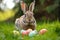 Happy easter stem Eggs Sunday Basket. Easter Bunny family tropical. Hare on meadow with Pattern easter background wallpaper