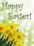 Happy easter text with yellow daffodils and green sunny abstract bokeh background