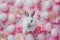 Happy easter thankful Eggs Candy-filled eggs Basket. White bright colors Bunny crucifix. Candy treats background wallpaper