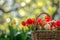 Happy easter Tomato Red Eggs Extraordinary Basket. White Peony Bunny fertilizer. Whimsical background wallpaper