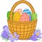 Happy Easter. Vector isolated elements. Card of crocuses and Bright easter eggs in the basket isolated on white background. Vector