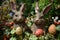 Happy easter Whimsical Eggs Orange blossoms Basket. White texture Bunny red maple. tender background wallpaper