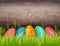 Happy Easter wooden background with colorful painted eggs and green grass.