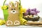 Happy Easter yellow and lime green theme gingerbread bunny cookie with basket, tulips, and candy birds eggs