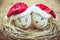 Happy eggs with painted faces in the nest for Christmas