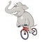 Happy elephant riding bicycle