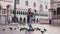 Happy excited attractive tourist woman with pigeons sitting on her arm and head at San Marco in Venice slow motion.