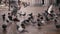Happy excited female reporter with camera walks on autumn San Marco square and flock of pigeons in Venice slow motion.