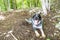 Happy exhausted shepard dog in the jungle of El Remate, Peten, Guatemala, Central America