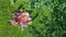 Happy family with children having picnic in park, parents with kids sitting on garden grass and eating healthy meals outdoors