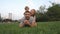 Happy family - dad, mom and little son lying on grass in the park in summer