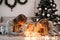 Happy family with daughter lies on the floor and cozy talks by the light of garlands against the background of Christmas tree.