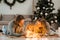 Happy family with daughter lies on the floor and cozy talks by the light of garlands against the background of Christmas tree.