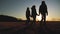 happy family and dog silhouette lifestyle walking at unset teamwork. group of friends people walking holding hands slow
