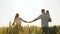 Happy family of farmers with child, are walking on a wheat field. Slow motion. mom, dad and child walk hand in hand