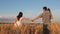 Happy family of farmers with child, are walking on a wheat field. Slow motion. mom, dad and child walk hand in hand