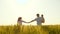 Happy family of farmers with child, are walking on a wheat field. Slow motion. mom, dad and child walk hand in hand