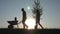 Happy family of farmers with tools at sunset. Silhouette. The family plants a tree in the fresh air. The way of life in