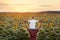 Happy family: father with his son on the shoulders standing in sunflower field at sunset. Back view