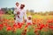 Happy family, father with kids playing in poppy flower field at summer day