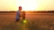 Happy family: father and son playing in a wheat field at sunset. A cute little boy runs to his dad. The man takes the