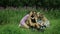 Happy family four sitting on grass summer day