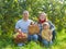 Happy family gathers apples