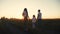 Happy family goes for a walk in the park on silhouette at sunset. daughter holds mom and. people in the park concept