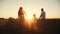 Happy family goes for a walk in the park on silhouette at sunset. daughter holds mom and. people in the park concept