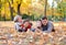 Happy family lies in autumn city park on fallen leaves. Children and parents posing, smiling, playing and having fun. Bright