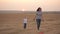 Happy family mom and child play frisbee on field at sunset. mother and little healthy daughter have fun together. mom