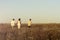 Happy family in national Slavic clothes walking in field on sunset and holding hands. Welcome to Russia